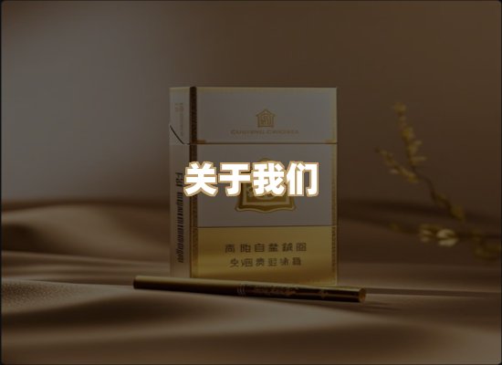 关于蓝帝网